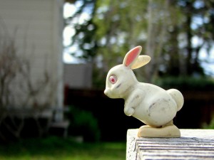 scared_bunny_leap