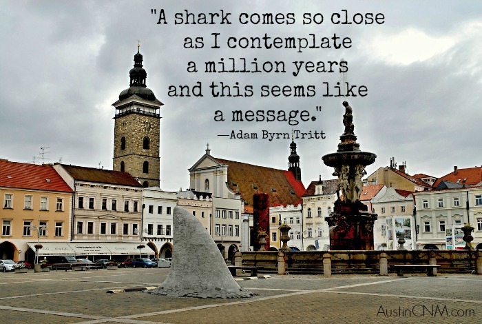 "A shark comes so close as I contemplate a million years and this seems like a message." —Adam Byrn Tritt