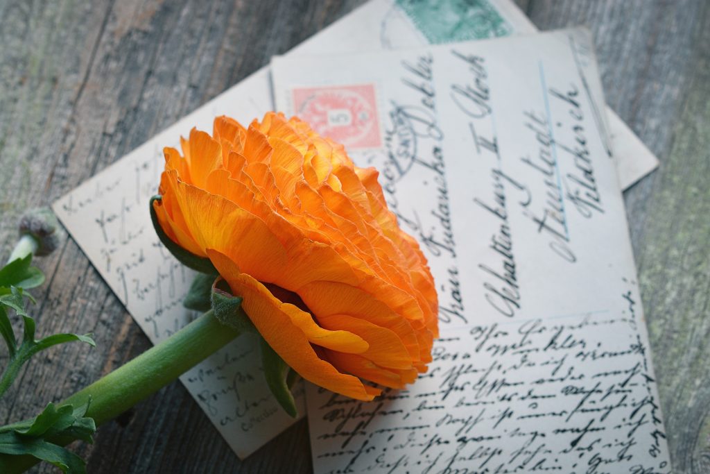flower-letters-memories