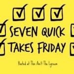 7 Quick Takes on Work Stress, Savings, and RCIA Recidivism